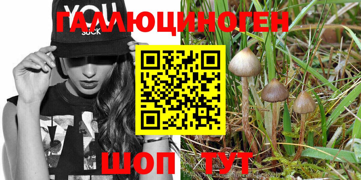 Псилоцибиновые грибы прущие грибы  Псилоцибиновые грибы MAGIC MUSHROOMS  цена наркотик  Вход с VPN  Кыштым 