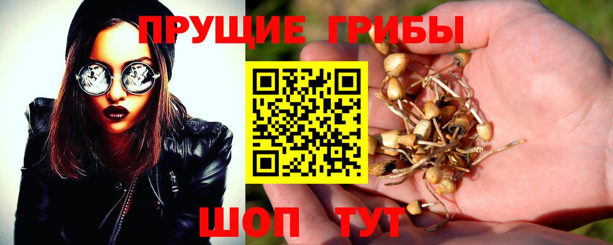 Галлюциногенные грибы GOLDEN TEACHER Кыштым